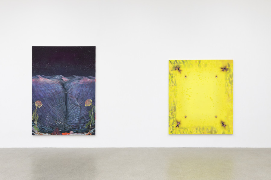 Exhibition views Salle Poma Kunsthaus Centre d’art Pasquart 2022: Andriu Deplazes, Liegen zwischen Sonnenblumen (Lying among sunflowers), 2021, Courtesy Julius Bär Kunstsammlung; Natacha Donzé, Do you love me (Boston Dynamics), 2022; Sammlung Stadler, München. Photos: Guadalupe Ruiz