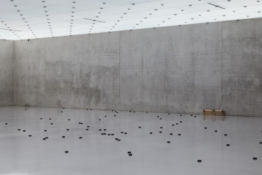 Dora Budor, Pucks (bagarreurs), 2021, Installation view Continent, second floor Kunsthaus Bregenz, 2022. Photo: Markus Tretter. Courtesy of the artist. © Dora Budor, Kunsthaus Bregenz