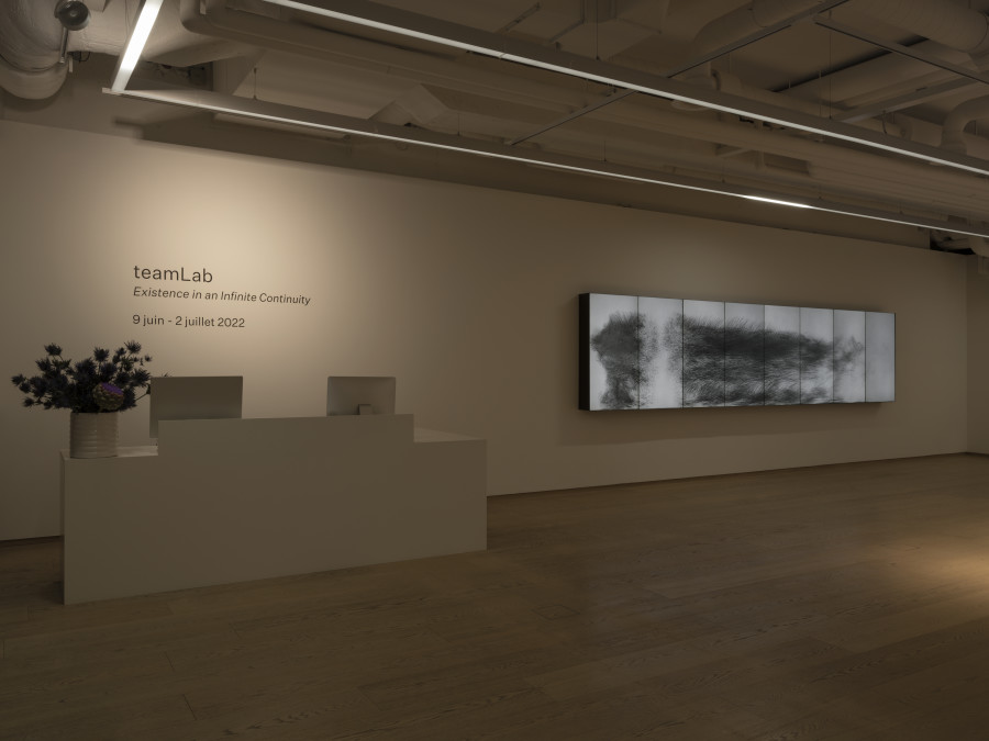 Installation view, teamLab, Existence in an Infinite Continuity, Pace Gallery, 2022. Photo credit: Julien Gremaud
