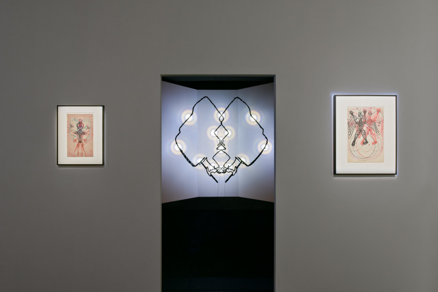 Exhibition view of Chrysalis: The Butterfly Dream at Centre d’Art Contemporain Genève (January 25‒June 4, 2023). © Centre d’Art Contemporain Genève. Photo: Mathilda Olmi