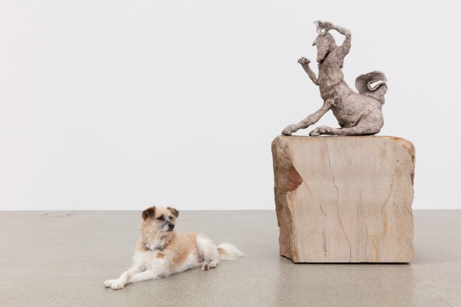 Francis Upritchard – A Loose Hold, Exhibition views Kunsthaus Centre d’art Pasquart 2022, Courtesy the artist and Kate MacGarry. Photos: Angus Mill