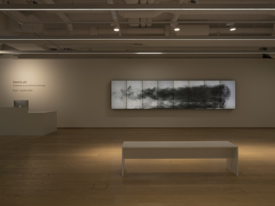 Installation view, teamLab, Existence in an Infinite Continuity, Pace Gallery, 2022. Photo credit: Julien Gremaud