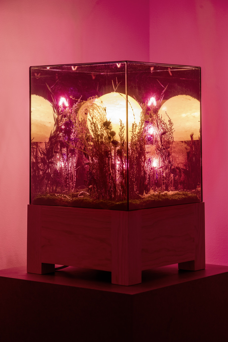 Exhibition view, Alexandre Joly, Double Rainbow, Wilde, 2022. Photo: Greg Clement