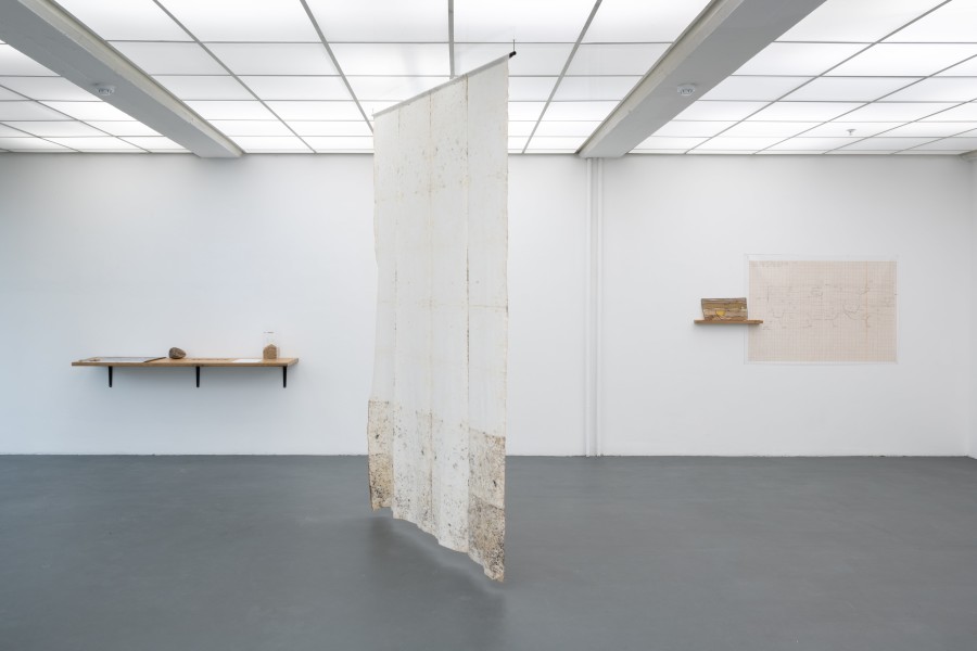 Jade Tang, Caresser l’histoire, ongoing, installation (Documentation, 2019-2022; Sonder le sol, 2020-2021; Stratigraphic units, 2019-2021; Typologie de tiges, 2021). Installation view Kunsthaus Baselland 2022. Photo: Finn Curry