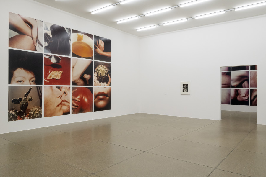 Installationsansicht Eine Frau ist eine Frau ist eine Frau... Eine Geschichte der Künstlerinnen 27.8.2022 – 15.1.2023, Aargauer Kunsthaus, Aarau. Hannah Villiger, Arbeit (12-teilig), 1980/81 Aargauer Kunsthaus, Aarau. Binia Bill, Frau unter Schwarzer Spitze, Nelke auf dem Oberkörper., Aufnahmejahr um 1934 max, binia + jakob bill stiftung © 2022, ProLitteris, Zürich. Foto: Zoe Tempest, Zürich