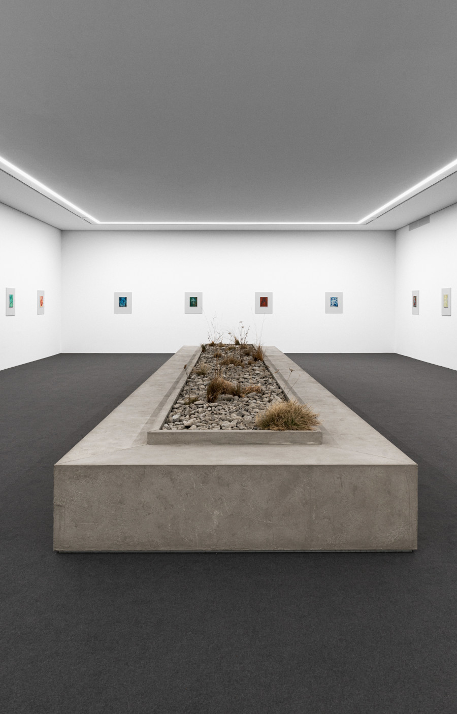 Camillo Paravicini,  Installationsansicht mit "Bank", 2021 (vorne Mitte)