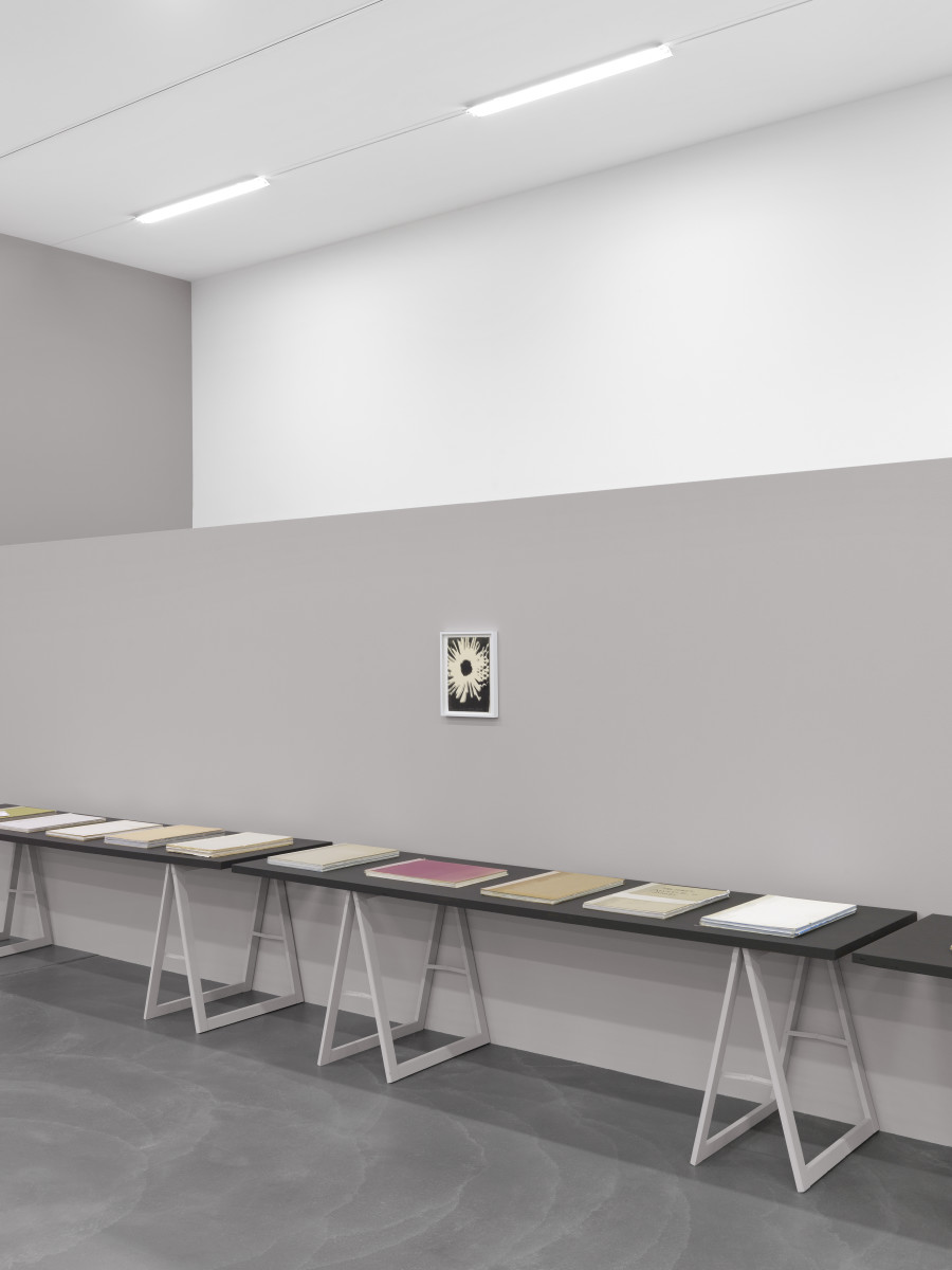 Installation view: Pati Hill: Something other than either, Kunsthalle Zürich, 12 December 2020 – 2 May 2021. Photography: Annik Wetter. Courtesy Pati Hill Collection, Arcadia University.