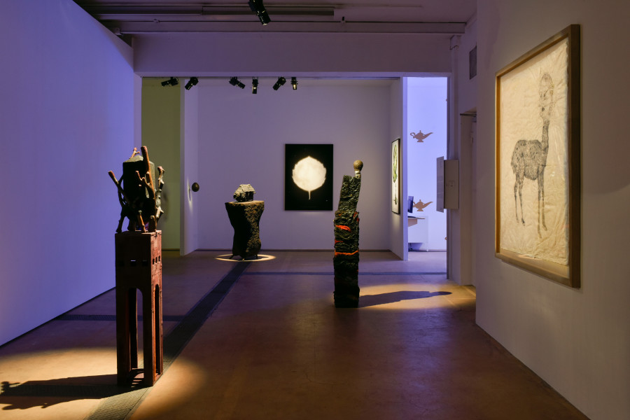 Exhibition view of Chrysalis: The Butterfly Dream at Centre d’Art Contemporain Genève (January 25‒June 4, 2023). © Centre d’Art Contemporain Genève. Photo: Mathilda Olmi