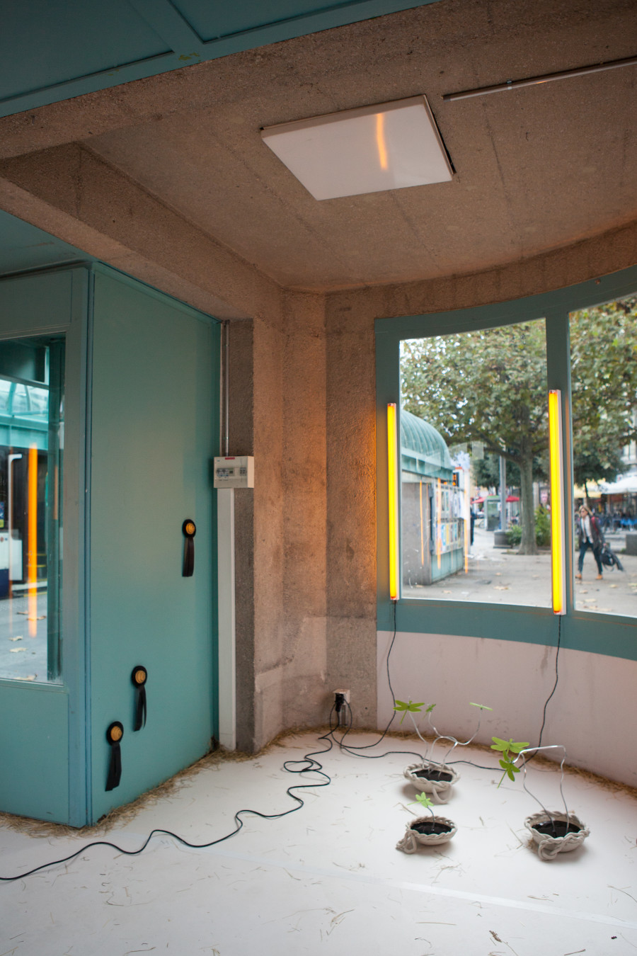 Doris Hardeman, Nothing more than ears of wheat, Zabriskie Point, 2021. Photo credit : Jerlyn Heinzen