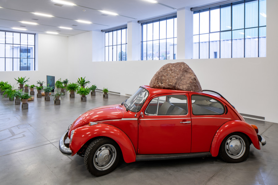 Jimmie Durham, Alpine Substance on Wolfsburg Construction, 2007, Sammlung Migros Museum für Gegenwartskunst, Foto: Lorenzo Pusterla