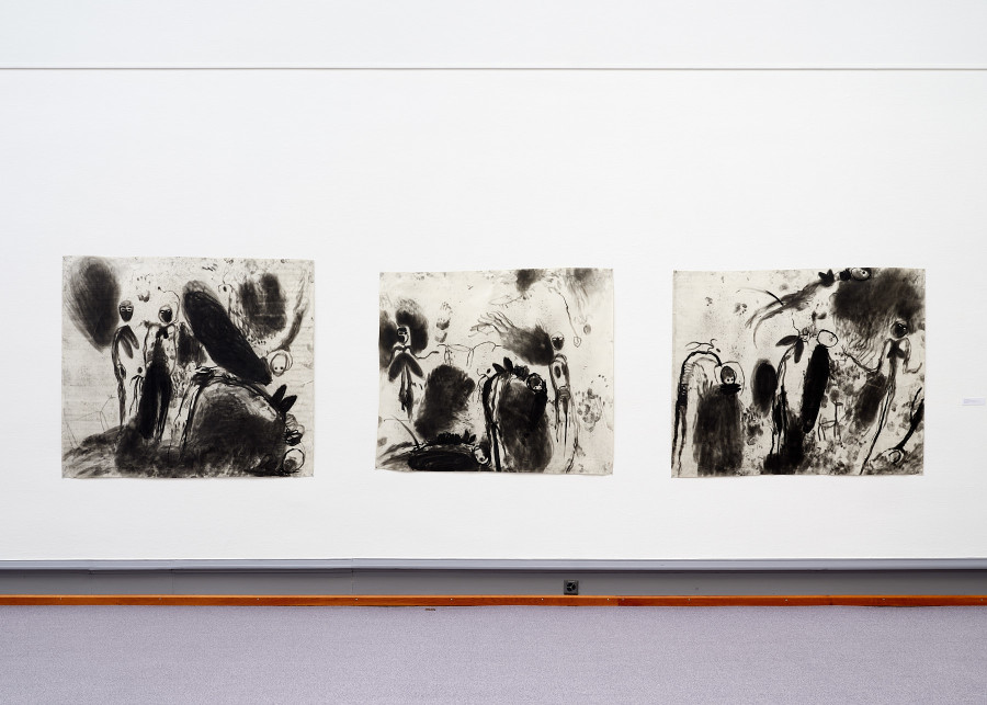 Exhibition view, Hémisphère, Kunstmuseum Solothurn, 2022.