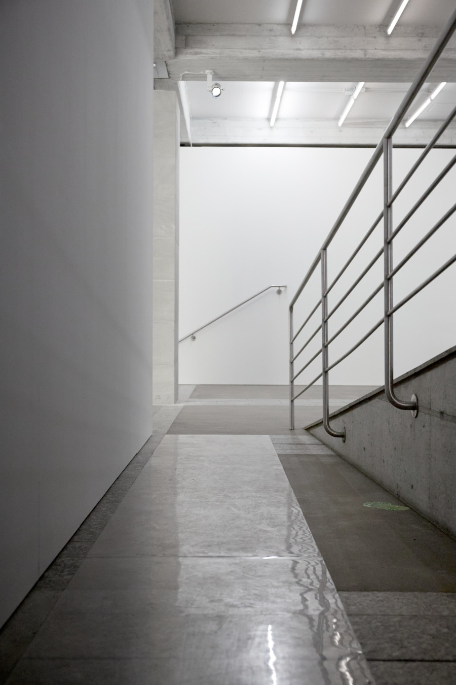 Martina Morger, Lèche Vitrines, Installationsansicht Kunstmuseum St.Gallen, Foto: Fabienne Watzke