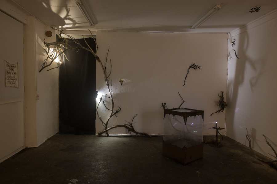 Exhibition view « Fusionner nos Ardeurxes » at WallStreet, Fribourg, 2022 / Photo: Julie Folly / Courtesy: the artist and WallStreet