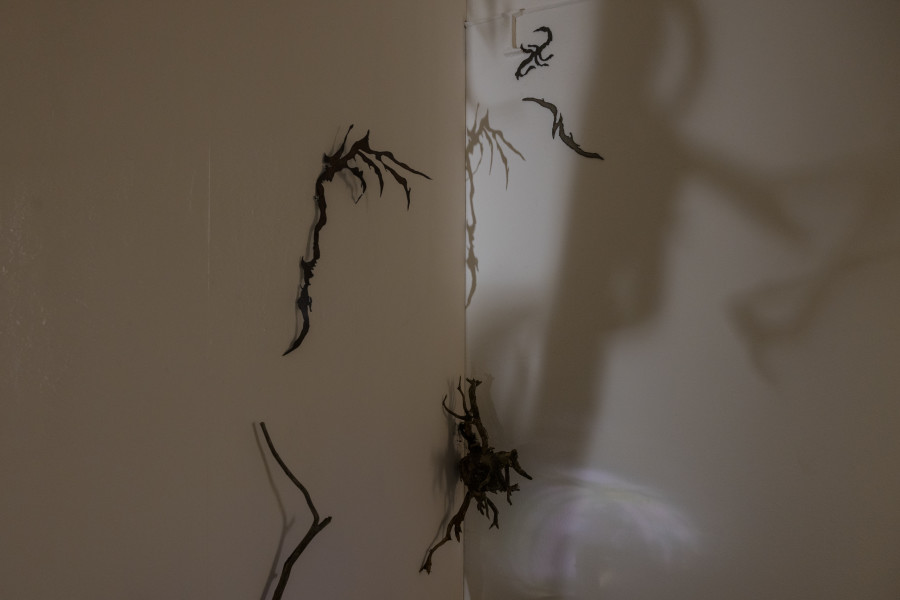 Exhibition view « Fusionner nos Ardeurxes » at WallStreet, Fribourg, 2022 / Photo: Julie Folly / Courtesy: the artist and WallStreet