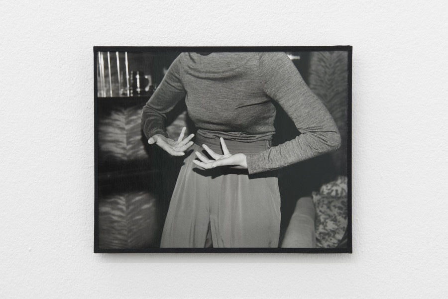 Joanna Piotrowska, installation view, Stable Vices, Kunsthalle Basel, 2019, view on, Untitled, 2019. Photo: Philipp Hänger / Kunsthalle Basel