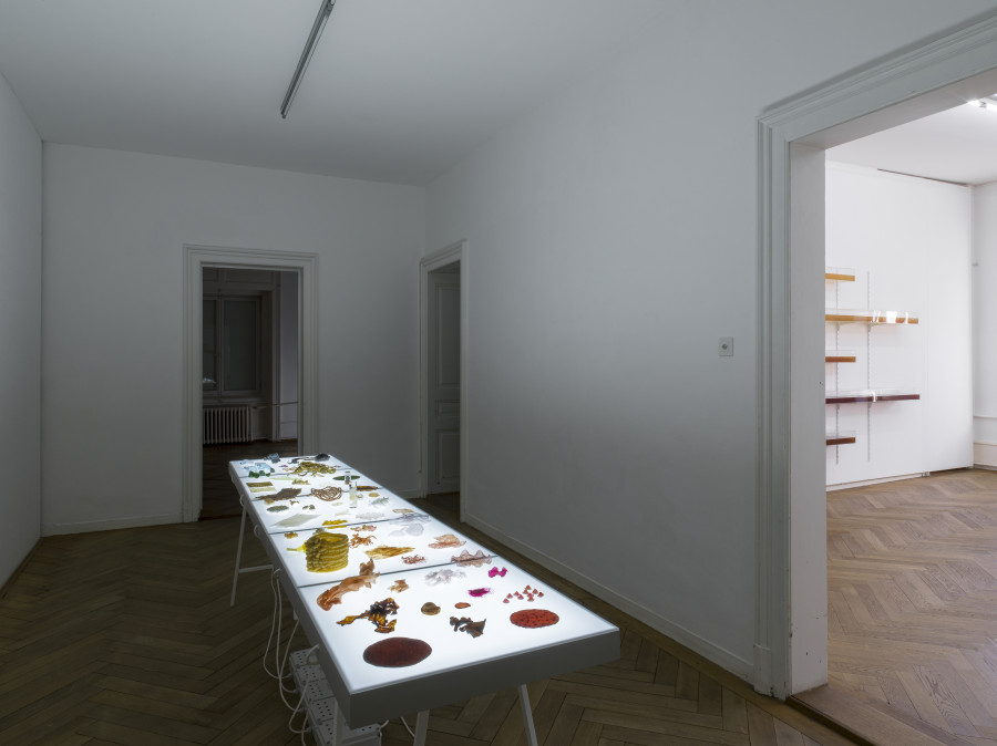 Franziska Baumgartner, Studien, 2021/22, Installationsansicht, Kunsthaus Langenthal, Foto: CE, Courtesy of the artist
