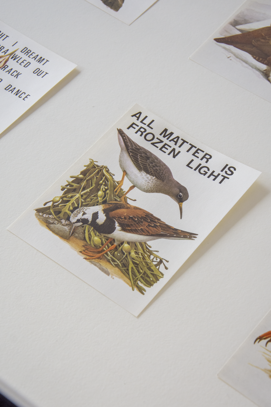 dictionary of dullness, Dietikon Projektraum, 2021.