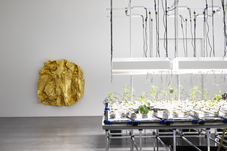 Exhibition view, LandLiebe, Art and Agriculture, Museum of Fine Arts Chur, 2021-2022.