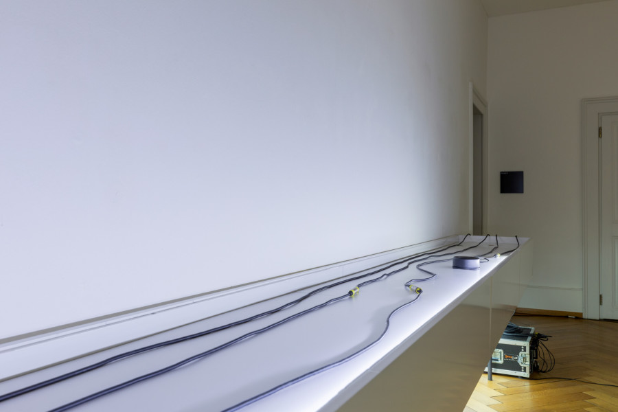 SOLO / MUTE / PAN – Olga Kokcharova, Laurent Güdel & Guests, Exhibition views Kunsthaus Centre d’art Pasquart 2022, Courtesy the artists. Photo: Guadalupe Ruiz