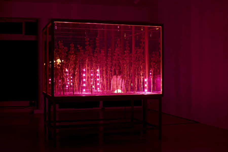 Exhibition view, Alexandre Joly, Double Rainbow, Wilde, 2022. Photo: Greg Clement