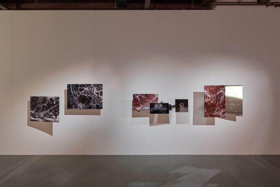 Exhibition view, Ceylan Öztrük, Matter of non, Kunsthalle Friart Fribourg, 2021, Courtesy of Kunsthalle Friart Fribourg