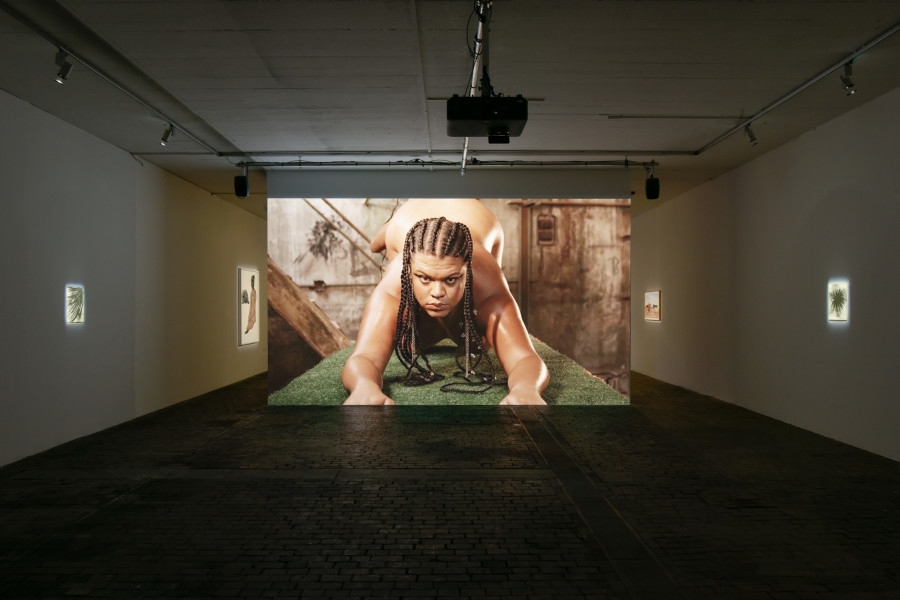 Exhibition view of Chrysalis: The Butterfly Dream at Centre d’Art Contemporain Genève (January 25‒June 4, 2023). © Centre d’Art Contemporain Genève. Photo: Mathilda Olmi