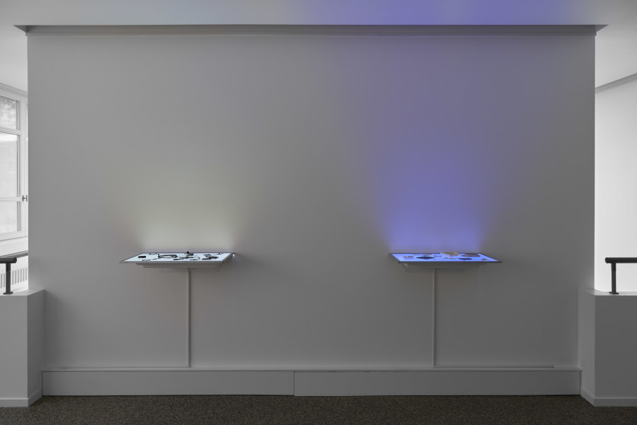 Exhibition view, Daniel Canogar, Hidden Tides, Wilde 2021-2022.