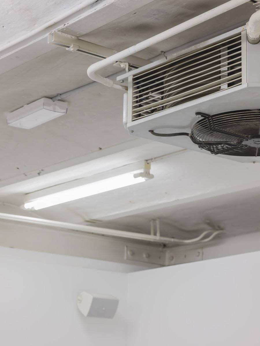 Caroline Bourrit, Charge Fantôme, Installation view, 2022, CAN Centre d’Art Neuchâtel,  Photo: S. Verdon