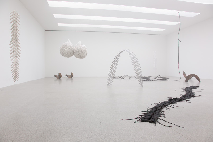 Vanessa Billy, We Become, installation view Kunsthaus Centre d’art Pasquart, Foto / photo: Lia Wagner