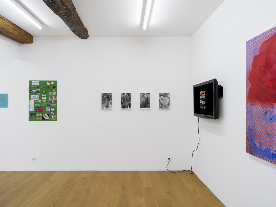 Constellations in a Bubble, Installation View, 2021 / Photo: CE / Courtesy: the Artist and Kirchgasse Gallery