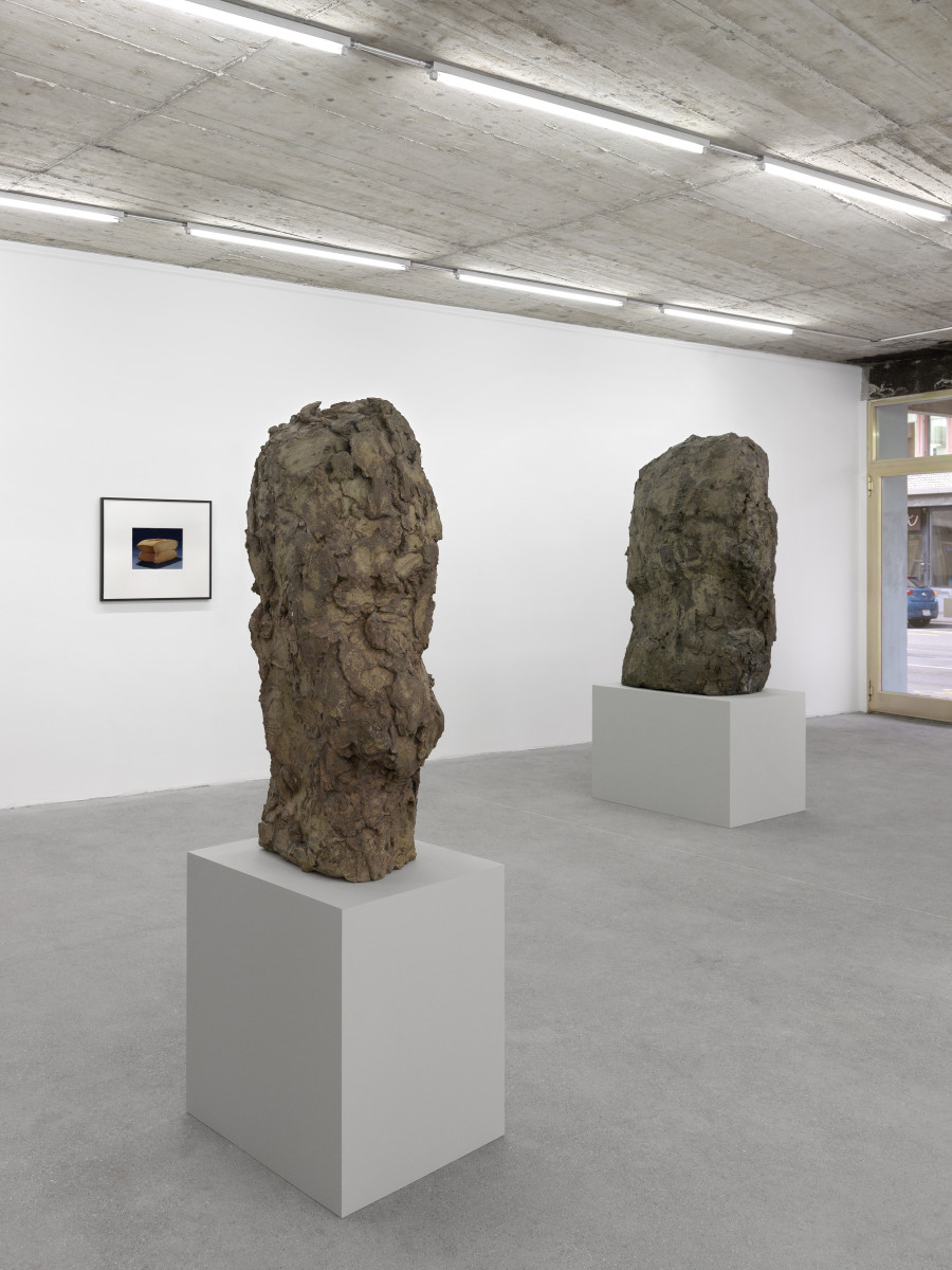 Figuration Program Group show with Tosh Basco, Dora Budor, Leyla Faye, Hans Josephsohn, Louise Lawler, Akeem Smith in collaboration with Jessi Reaves, Christopher Williams Installation view Karma International, Zurich 2023 Courtesy of the artists and Karma International, Zurich Photo credits: Annik Wetter