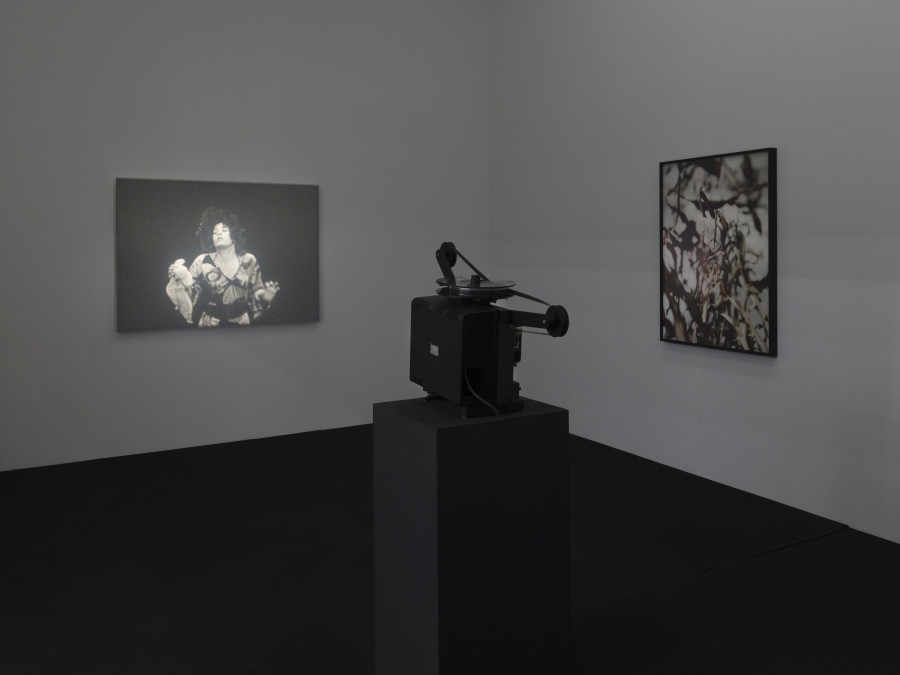 Installationsansicht Kosmos Emma Kunz. Eine Visionärin im Dialog mit zeitgenössischer Kunst 2.3. – 24.5.2021, Aargauer Kunsthaus, Aarau. Joachim Koester Tarantism, 2007 Violin Mantis, 2015. Foto: Conradin Frei, Zürich