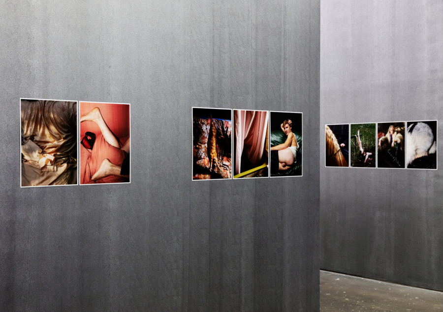 Installation view, Anne Morgenstern, Indocile and Tender, Centre de la photographie Genève, 2022. Image: Anne Morgenstern