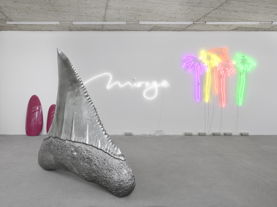 Installation view of "Performance Promise". Photo credits: Annik Wetter. Courtesy of the artist and Karma International.