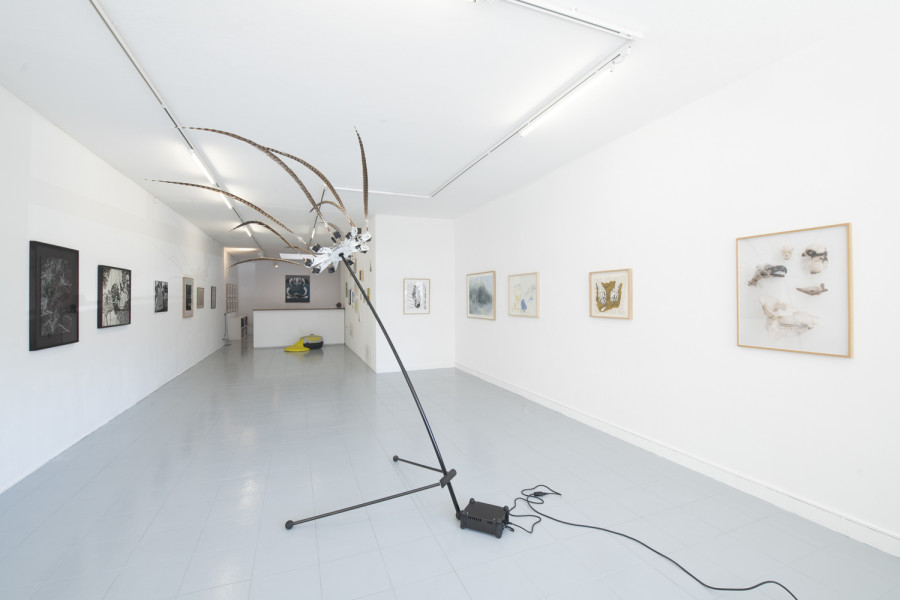 Installation view, INTO THE WILD, Wilde, 2022. Photo: Grég Clement