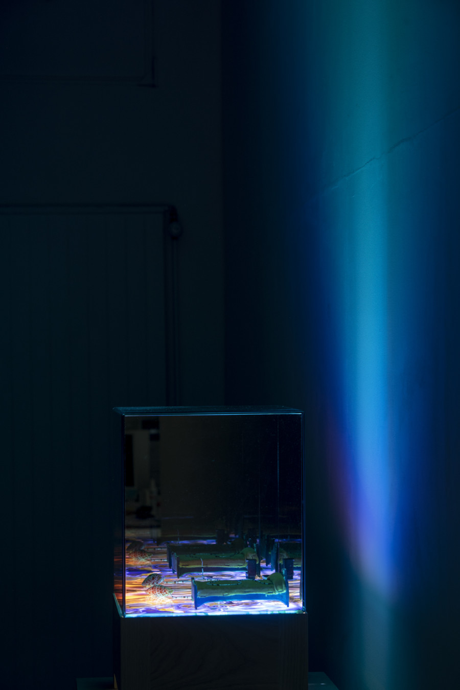 Exhibition view, Alexandre Joly, Double Rainbow, Wilde, 2022. Photo: Greg Clement