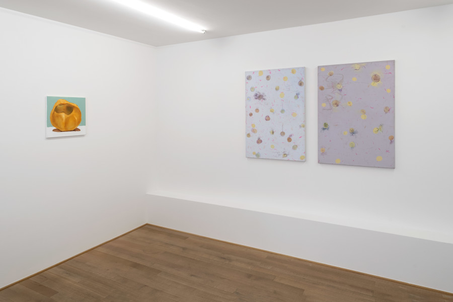 Installation view, WIRE, LINE & STRING, Mai 36 Galerie, 2022.