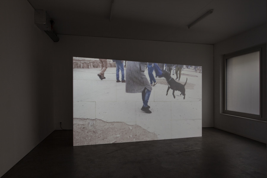 Exhibition view, d.e.d. world, 2022, HD video, color, sound, 16 secs (loop), projection on 14 Styrofoam panels, 2 x 3.5m, buttermilk on windows. Espace 3353, 2022. All credits to ©Anastasia Mityukova