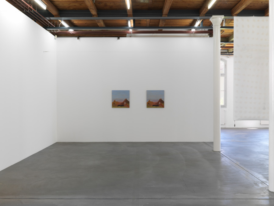 Exhibition view, Georgia Sagri, Case_L, Kunsthalle Friart Fribourg, 2022, Photo Stathis Mamalakis ©Georgia Sagri