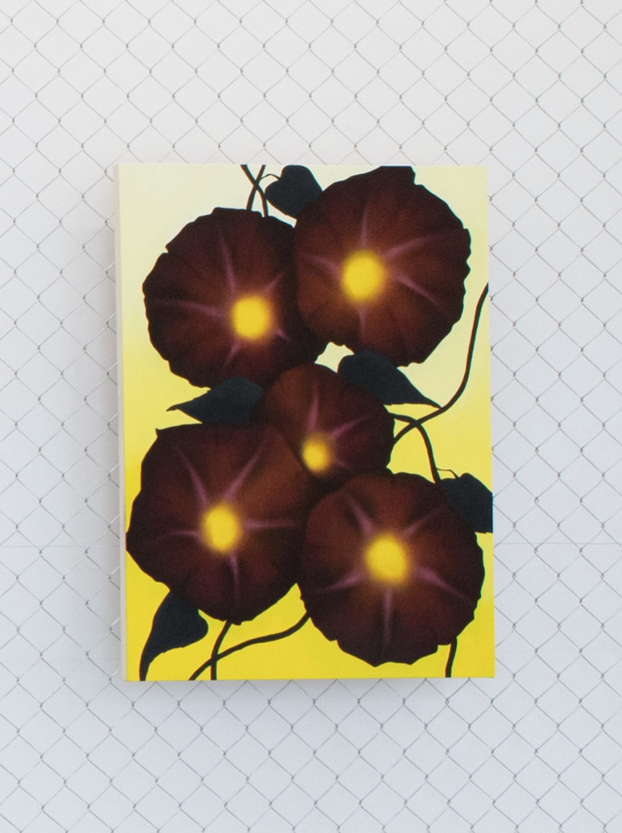 Exhibition view, David Weishaar, The Rose is without ‘Why’, KALI Gallery, 2022. Photo credit @vogeleye and @KALI Gallery Lucerne