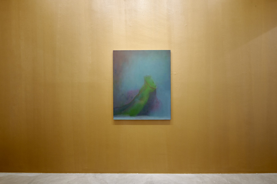 Exhibition View, Xie Qi, Disorder of Yeast, Galerie Urs Meile, Lucerne, Switzerland, 01.12.2021 - 19.02.2022