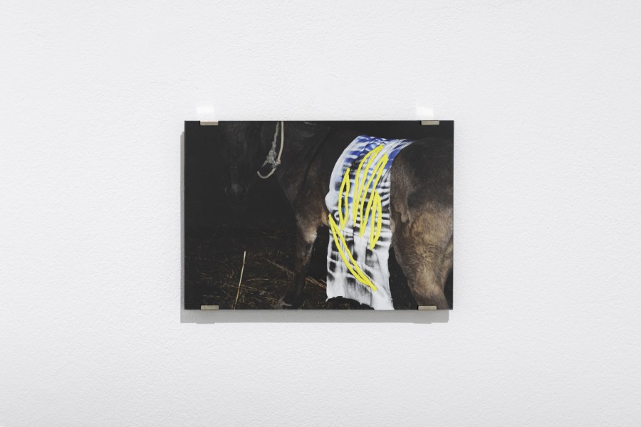 Installation view, Markéta Jachimova, MY HANDS, KALI Gallery, 2022