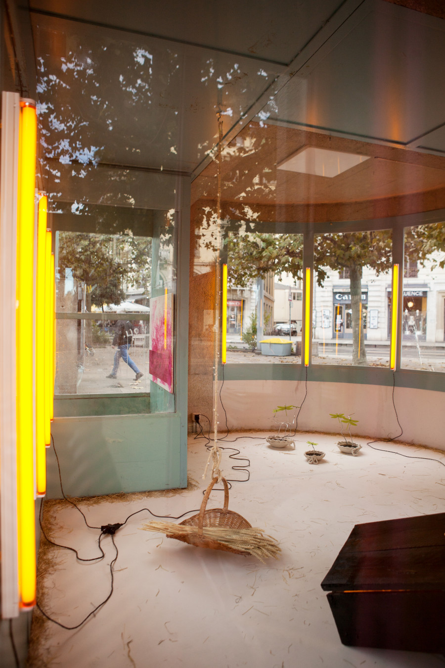 Doris Hardeman, Nothing more than ears of wheat, Zabriskie Point, 2021. Photo credit : Jerlyn Heinzen