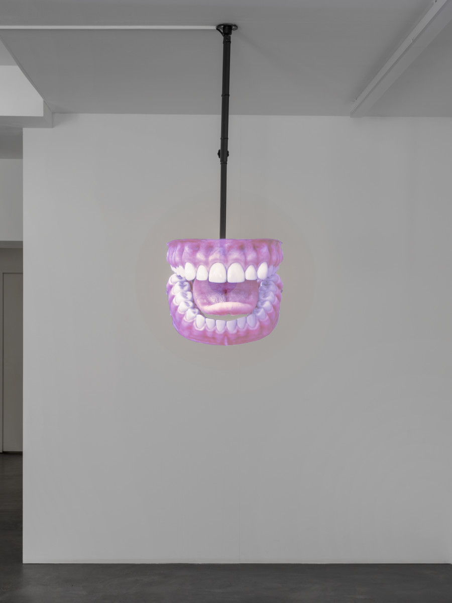 Exhibition view, Juan Antonio Olivares, SELF-PORTRAIT, Galerie Maria Bernheim, 2022.