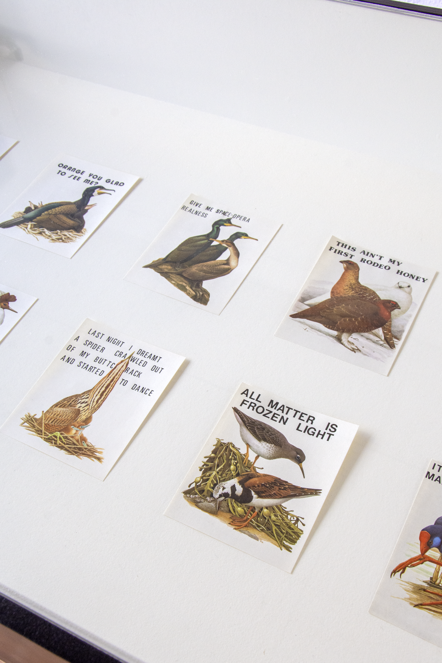 dictionary of dullness, Dietikon Projektraum, 2021.