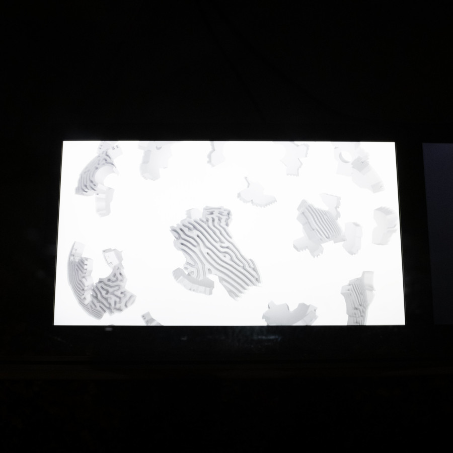 Thomas Julier, Dawn Chorus Protocol, Lemme, Sion, Switzerland, Curator: Josiane Imhasly, Photo credit: Romain Iannone