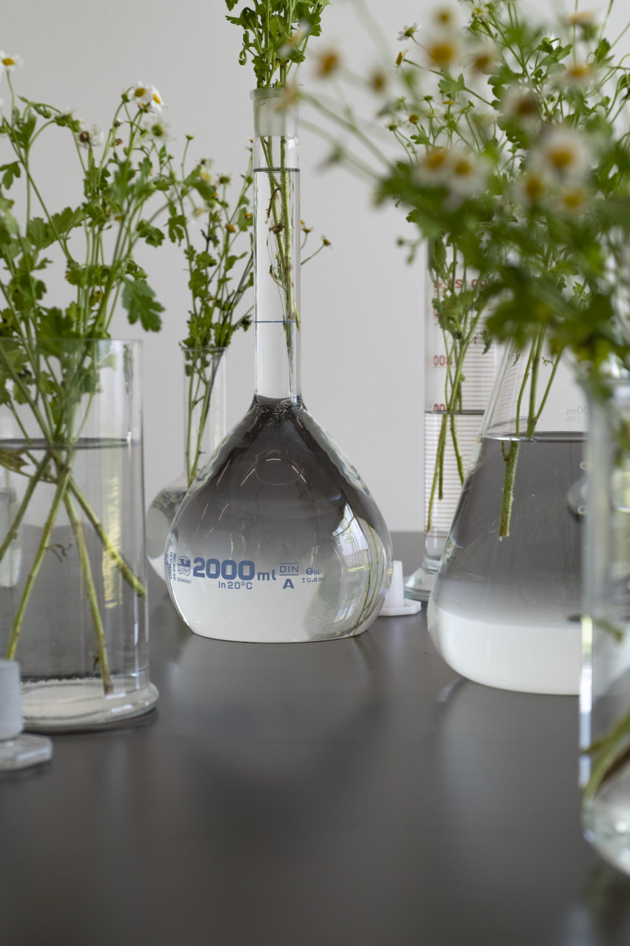 Éric Baudelaire, Camilla, September 10th 2021, 2021 (detail). Courtesy: the artist. Photo: Kunst Halle Sankt Gallen, Sebastian Schaub.