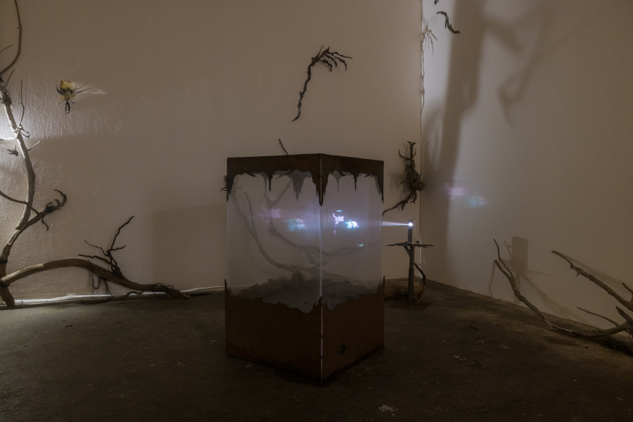 Yolane Rais, Boite à fumée, 2022/ Photo: Julie Folly / Courtesy: the artist and WallStreet