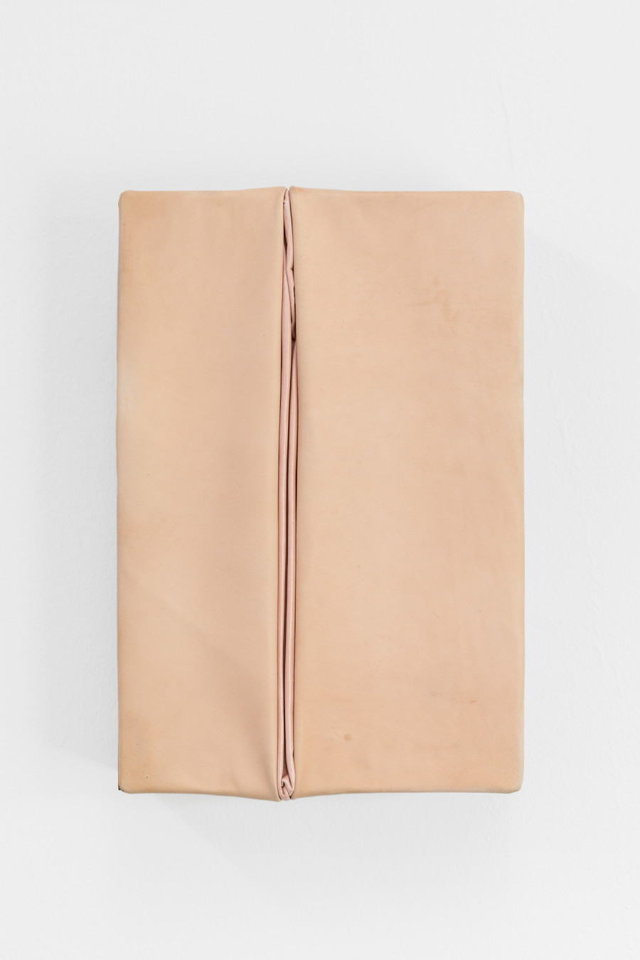 Martín Soto Climént, Caramel, 2015, leather on stretcher and tzalam wood, 31 x 20 x 10 cm. Photo: Kilian Bannwart
