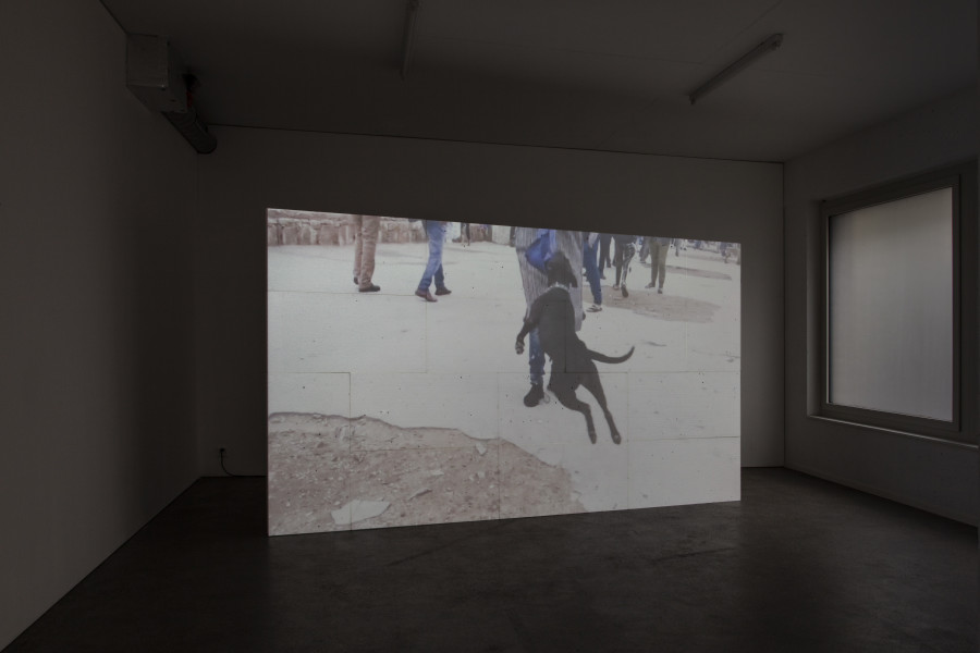 Exhibition view, d.e.d. world, 2022, HD video, color, sound, 16 secs (loop), projection on 14 Styrofoam panels, 2 x 3.5m, buttermilk on windows. Espace 3353, 2022. All credits to ©Anastasia Mityukova